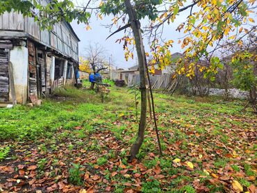 Həyət evləri və villaların satışı: 8 otaq, 100 kv. m, Kredit yoxdur, Təmirsiz — 6