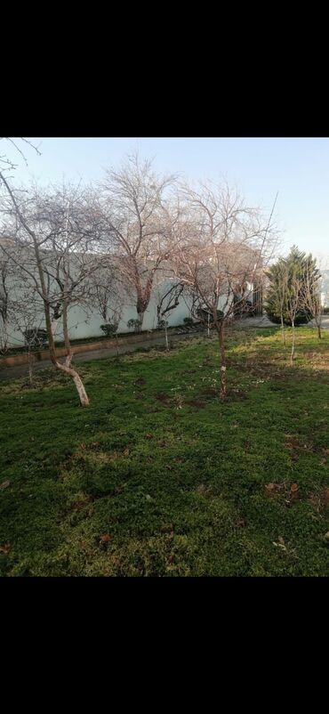 Bağbanlar: Salam aleykum Adim Sahib 43yaşim var Bakıda yaşayiram Baki etrafi — 9