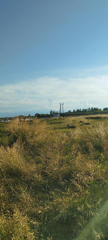 село заречное: 5 соток, Для бизнеса, Красная книга — 4