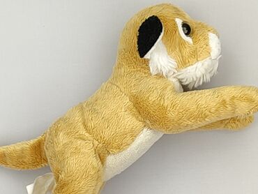 Soft toy for infants, condition - Perfect