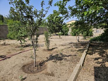 Bağ evlərinin kirayəsi: Mərdəkan, 100 kv. m, 4 otaqlı, Hovuzsuz, Kombi, Qaz, İşıq — 24