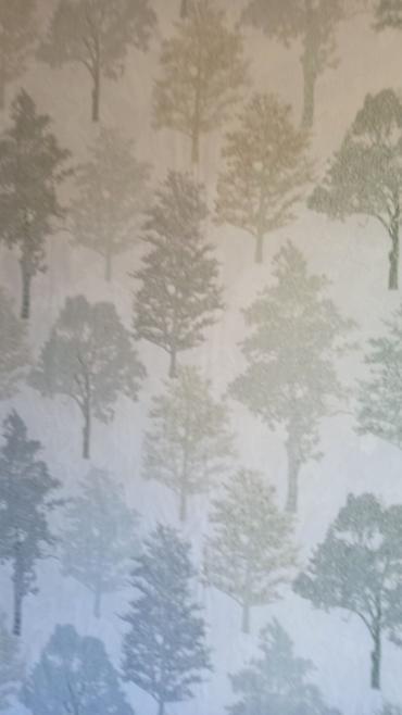 Побелка: Побелка стен, Побелка потолков 3-5 лет опыта — 2