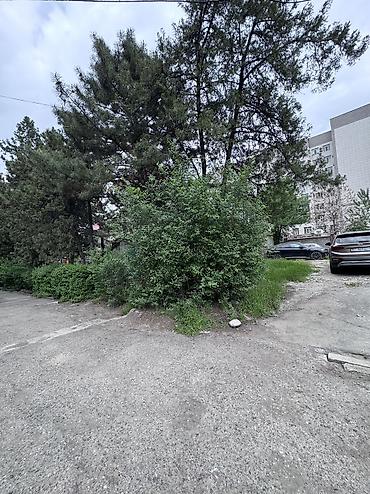 Продажа квартир: 3 комнаты, 58 м², Индивидуалка, 5 этаж, Евроремонт — 7