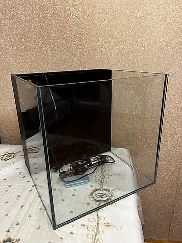 akvarium satışı: Hazir Okean akvariumu satilir 40x40 a samp sistemidi motoru ustundedi — 1