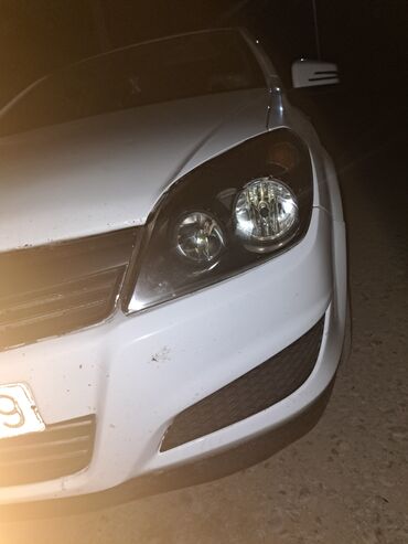 w202 qapi uzluyu: Передний, Opel 2010, 2010 г., Германия, Платная доставка