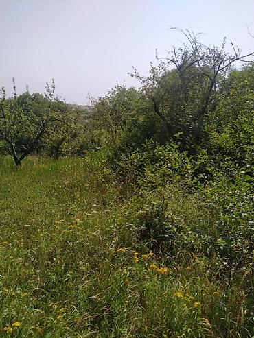 samaxi: 18 sot, Mülkiyyətçi, Kupça (Çıxarış) — 6