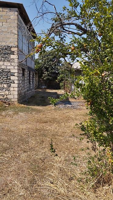 1 комната квартира снять: 6 комнат, 150 м², Средний ремонт — 8
