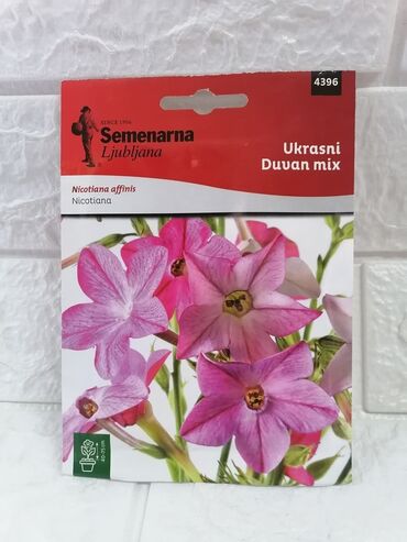 Semena i sadnice: Cena 500din/kesica — 4
