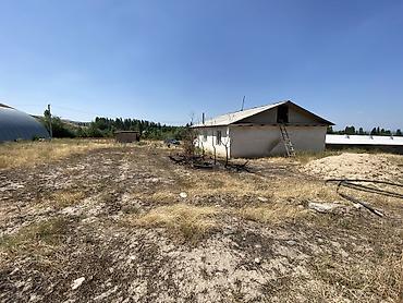 Продажа участков: 100 соток, Красная книга, Договор купли-продажи — 25