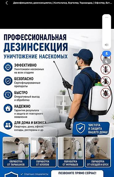 macbook 11: Дезинфекция, дезинсекция, | Клопы, | Квартиры — 1