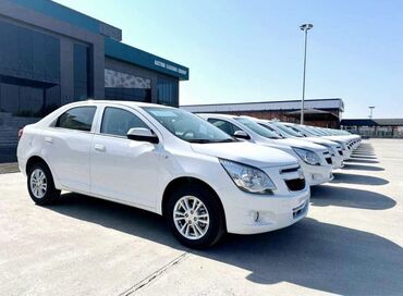 Arxa stopları: Chevrolet Cobalt Ehtiyyat hisseleri Chevrolet (Cruze/Malibu/Aveo