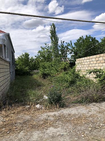 Torpaq sahələrinin satışı: 10 sot, Tikinti, Mülkiyyətçi, Kupça (Çıxarış) — 14