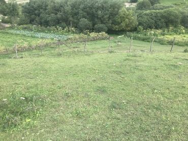 Torpaq sahələrinin satışı: 5 sot, Tikinti, Maklerlər narahat etməsin, Kupça (Çıxarış) — 11