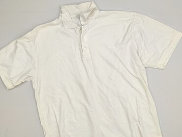 paramour sweter: Koszulka polo dla mężczyzn, L, stan - Bardzo dobry