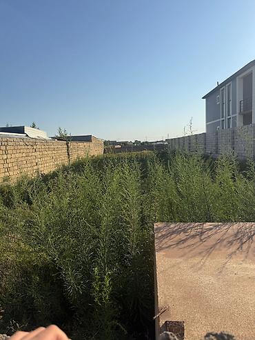 bağ evi: 6 sot, Tikinti, Mülkiyyətçi, Kupça (Çıxarış) — 2