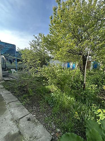 rent room: Срочно ❗️❗️❗️ 🏡 Продаётся дом с участком 8 соток | 5 ГЭС, с. Дачное ✨ — 7