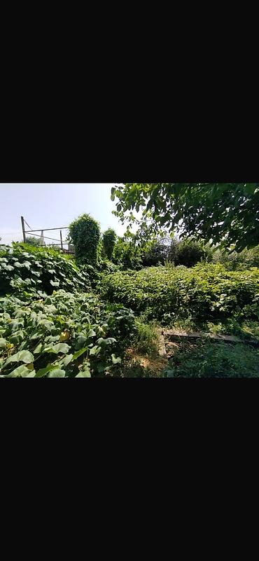 Продажа коттеджей и домов: Продаётся дом, г. Токмок, район Сах-завод, по ул Токмакская 71а — 22