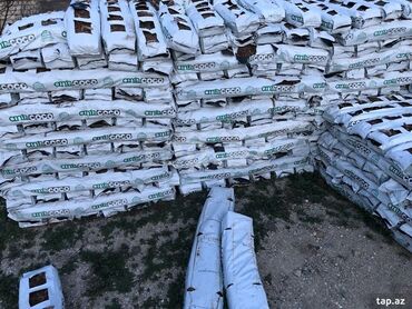 Çöl bitkiləri: Kakabit çox sayda 1 ci sezon cocopeat . Qala