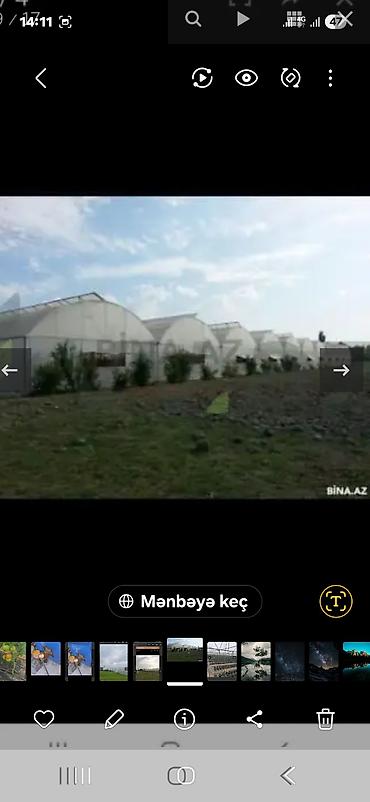 desler: Sənaye tipli istixana kompleksi - Bir neçə ədəd böyükölçülü, tağlı — 1