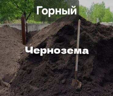 Другие товары для дома: Чернозем
чернозем
портер