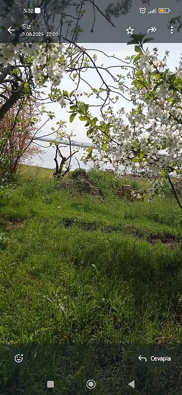gencede torpaq sahesi satilir: 14 sot, Tikinti, Mülkiyyətçi, Kupça (Çıxarış) — 2