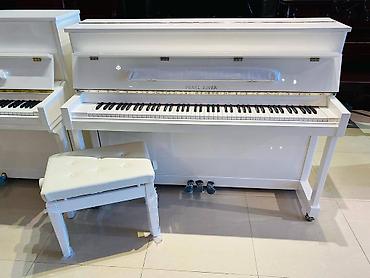 fort salon: Piano, Ritmüller, Akustik, Yeni, Pulsuz çatdırılma — 9