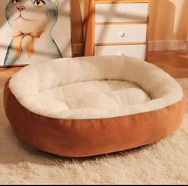 Зоотовары: ПРОДАЮ НОВЫЕ ГРУМИНГ МАШИНКИ.УСТАЛИ ОТ ШЕРСТИ,ЛИНЬКИ И КОЛТУНОВ.А ТАК — 4