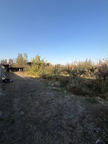 продаю дом в селе джал: 6 комнат, 250 м², 15 соток, Бишкек, Агентство недвижимости — 8