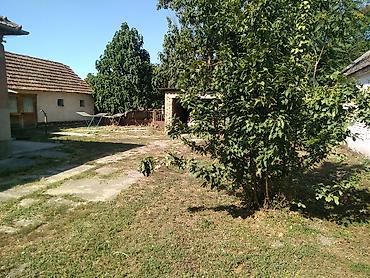 Kuće na prodaju: Renovirana kuća 120 m2 na 14 ara sa zasadom paulonije - Turija kuća u — 30