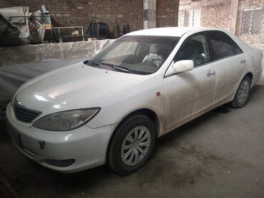 крыло камри под крылник: Белый седан Toyota Camry, вероятно, модели XV30, с характерными для