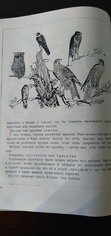Детские книги: Книга: В. БИАНКИ Лесная газета. На каждый год Автор: Виталий Бианки — 10