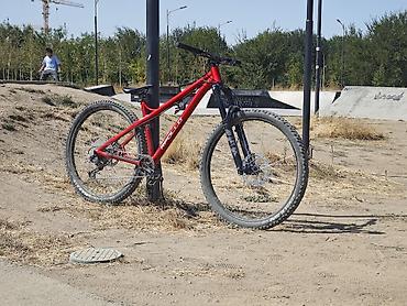 format velosiped: В продаже кастомный трейловый хардтейл. рама L/29 вилка Fox 38 rhythm — 2