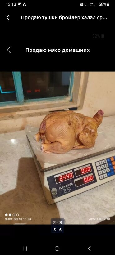 Птица: Бройлер :, 2 кг, 3 кг — 4