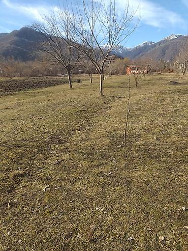 Torpaq sahələrinin satışı: Tikinti — 1