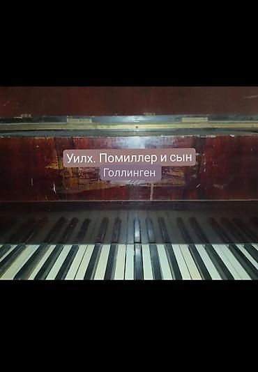 fort salon: Antik kuyruklu piano – Wills. Pethmüller & Sohn, Göttingen - — 5