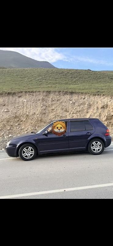 Volkswagen: Volkswagen Golf: 2002 г., Механика, Бензин, Хэтчбэк — 1