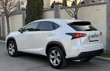 Lexus: Lexus NX: 2017 г., 2 л, Автомат, Бензин