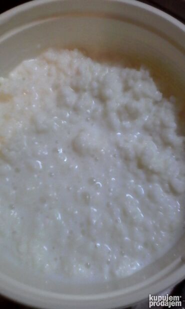 Mlečni proizvodi, jaja: Prodajem gljive za spravljanje tibetanskog kefira. Količina je — 8