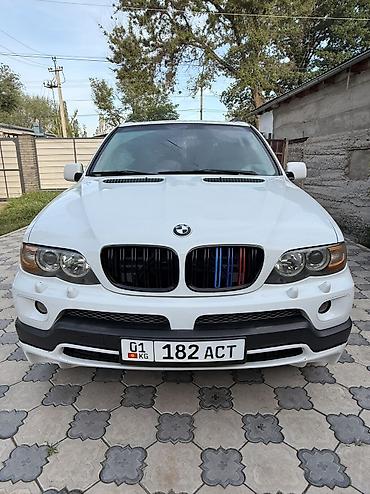 BMW: BMW X5: 2004 г., 3 л, Автомат, Бензин, Кроссовер — 12
