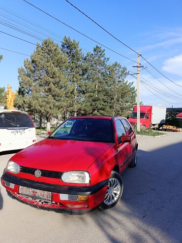 краска на авто: Volkswagen Golf: 1993 г., 1.6 л, Механика, Бензин, Хэтчбэк