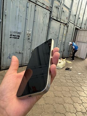 ipone x: Apple iPhone (серия Pro, титановый/серебристый цвет) - Корпус с — 4