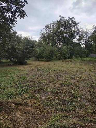 kreditle torpaq sahesi: 31 sot, Tikinti, Kupça (Çıxarış) — 4