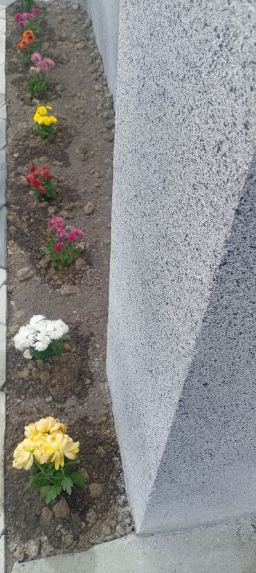 Həyət evləri və villaların satışı: 3 otaqlı, 85 kv. m, Kredit yoxdur, Yeni təmirli — 2