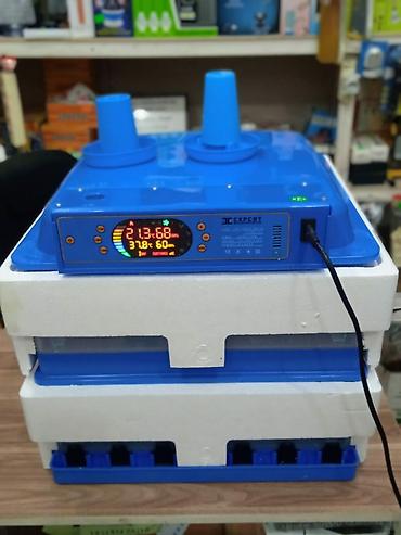 Kənd təssərüfatı avadanlığı: Inkubator inkubatorlarin birinci əl satişi mağazamizda olan inkubator — 9