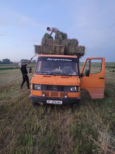 Транспорт: Легкий грузовик, Mercedes-Benz, Дубль, 2 т, Б/у