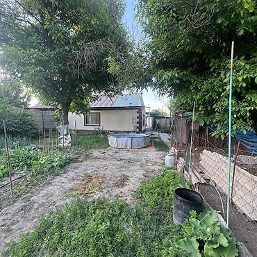 Продажа коттеджей и домов: Продаю дом! с. Восток, участок 8.07 соток, Красная книга, дом 100м2 — 10