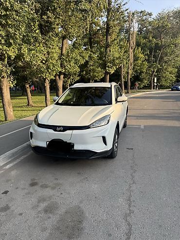 Weltmeister EX5, 2021 г., 220000 км