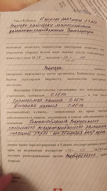 участки кунтуу: 65 соток, Для сельского хозяйства — 3