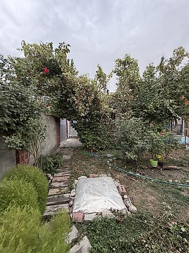сдаю дом аламидин 1: 4 комнаты, 90 м², 5 соток, Электричество, Холодная вода, Септик — 7