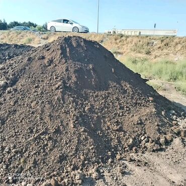 Toxumlar: Şəhid ailələrinə çatdırılma pulsuzdur. Qara torpaq Şamaxı İsmayıllı — 20